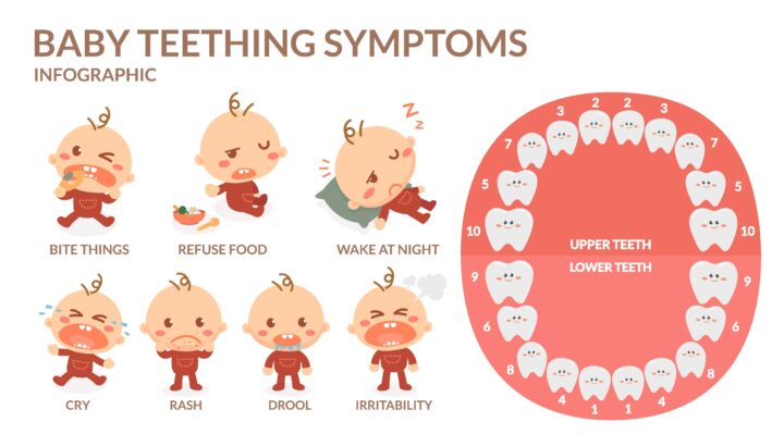 Common teething symptoms in babies infographic
